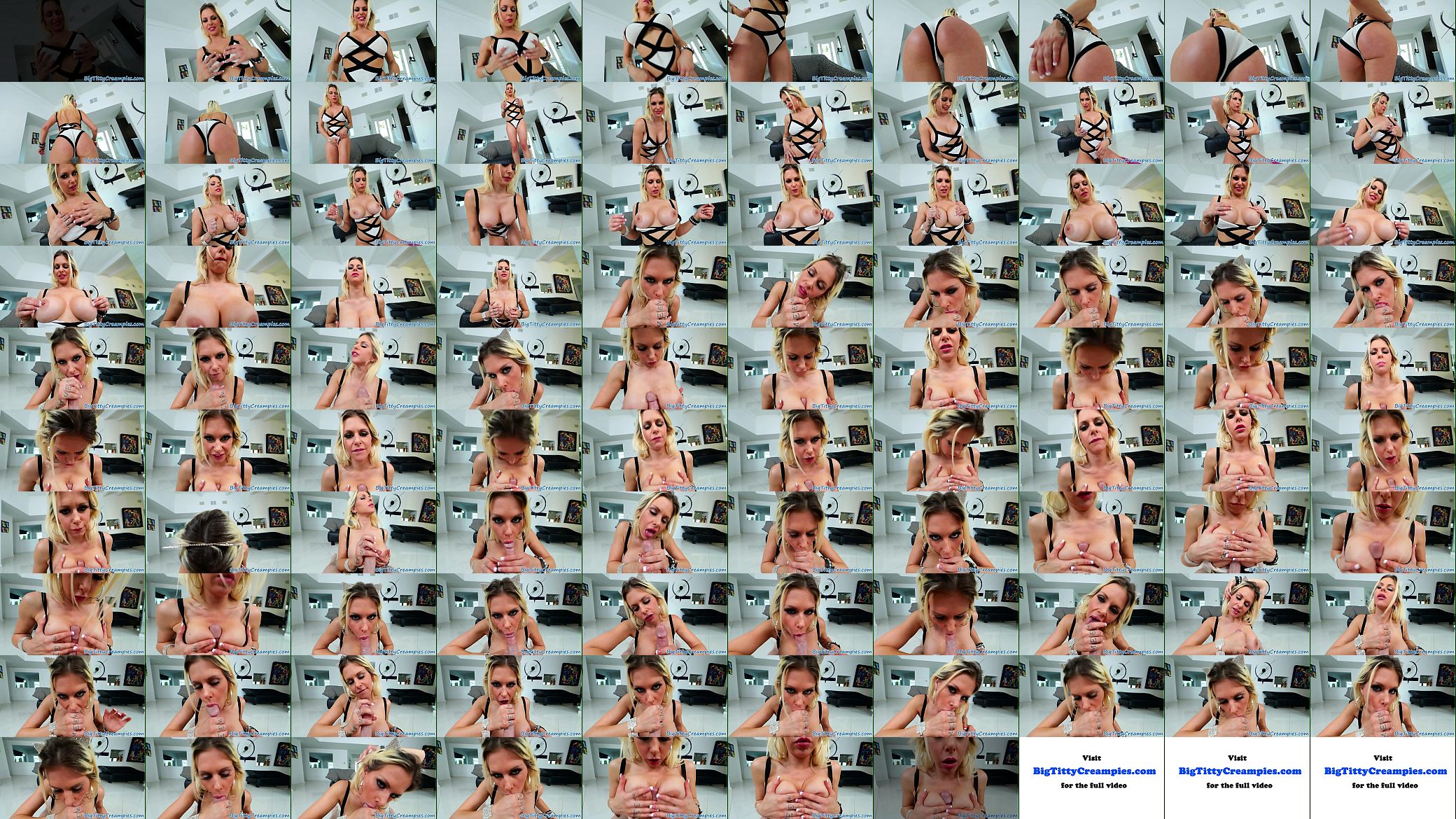 Glam MILF tittyfucking and sucking hard cock 预览图