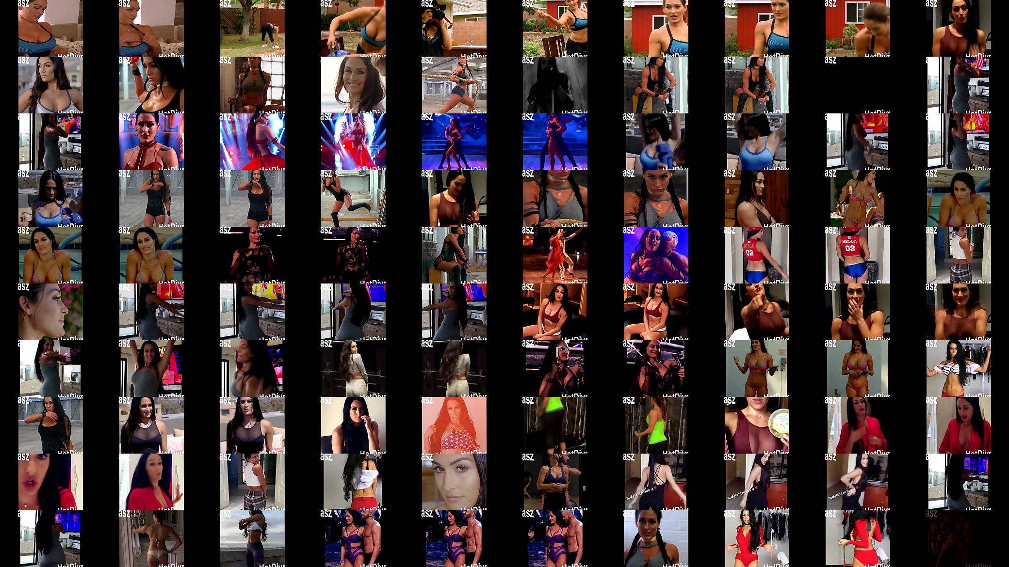 Another Nikki Bella montage. 预览图