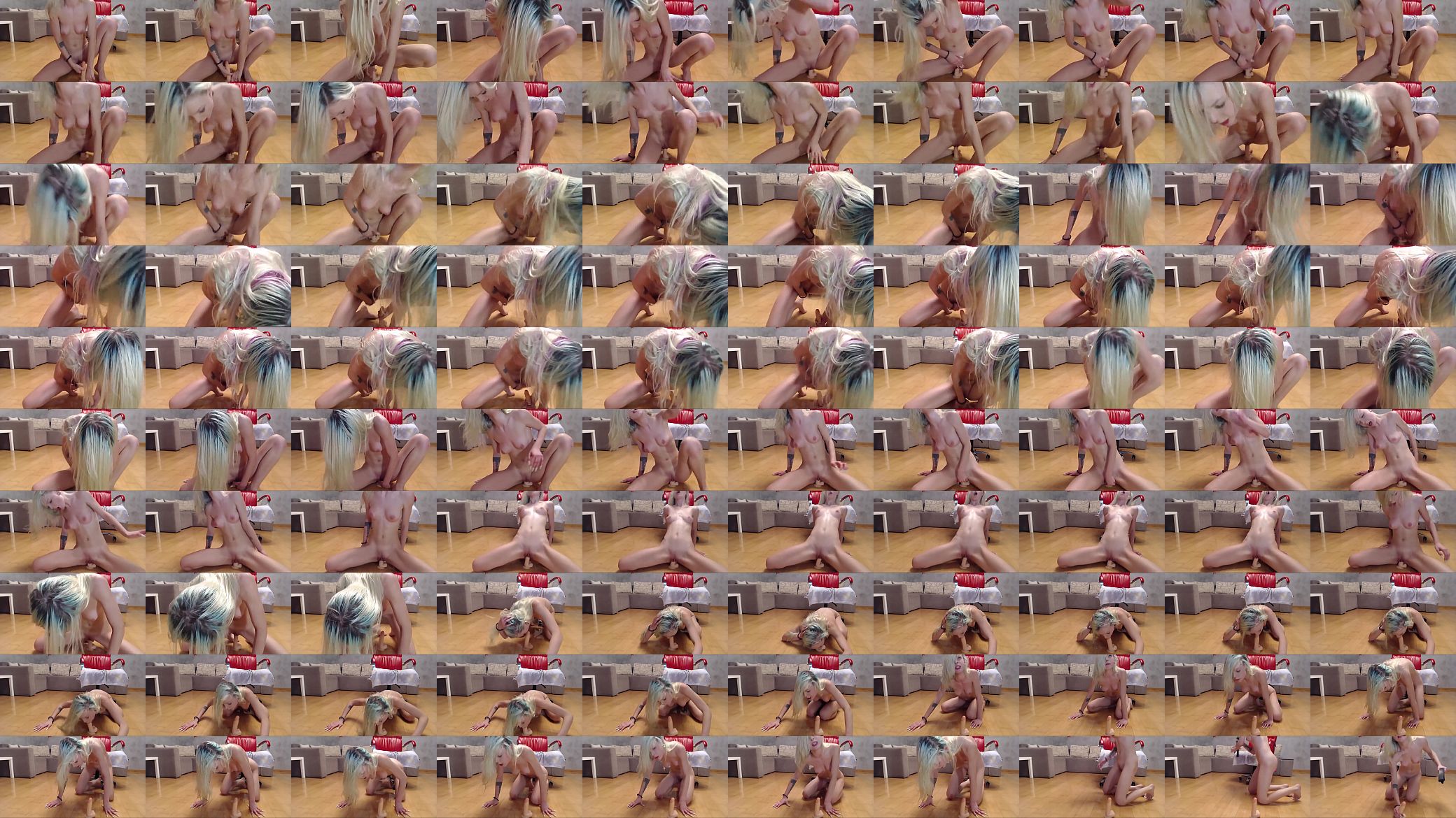 Cam slave 预览图