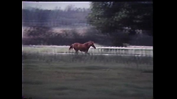 Download Video - A BUNDA PROFUNDA - PORNOCHANCHADA DE 1984