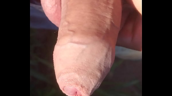 Bisexuel Non Accouplé