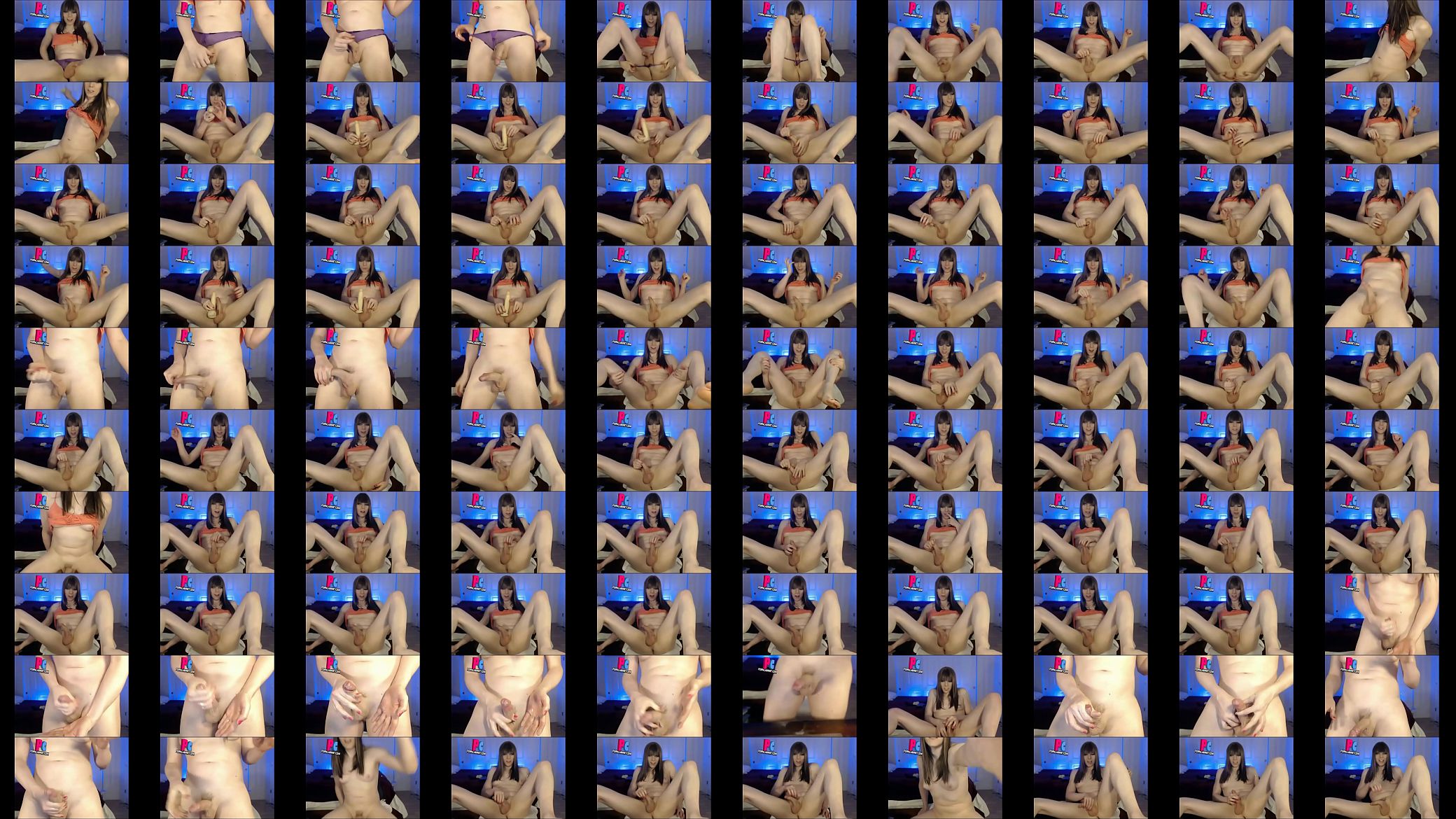 shemale on porn shemalr porn 预览图