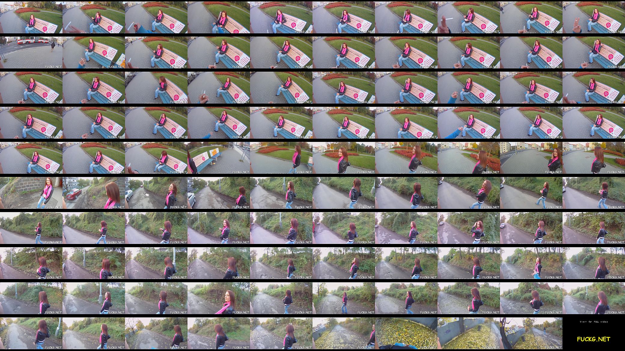 Riding ramrod for a spy camera 预览图