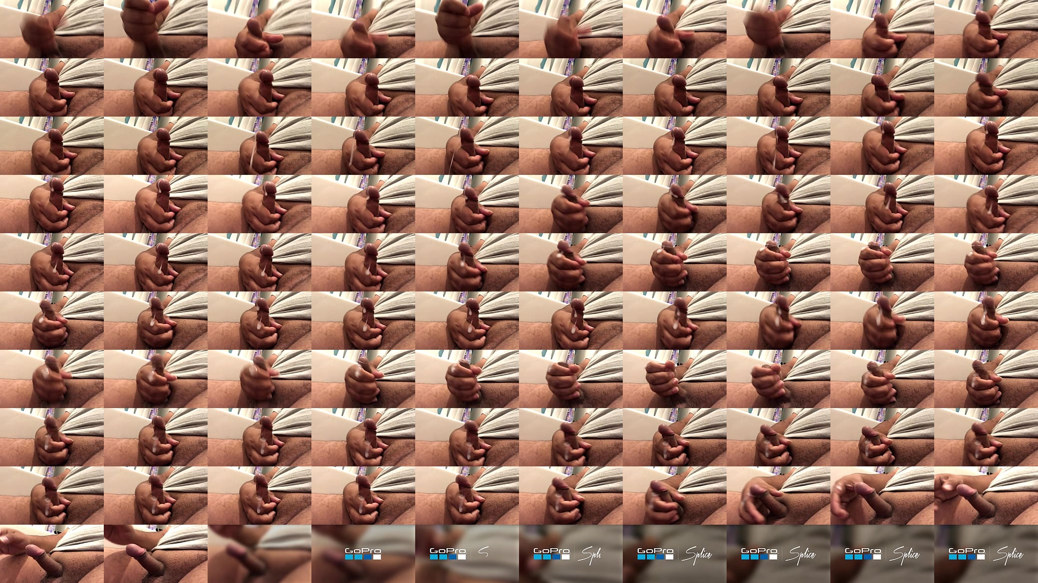 Nut 预览图