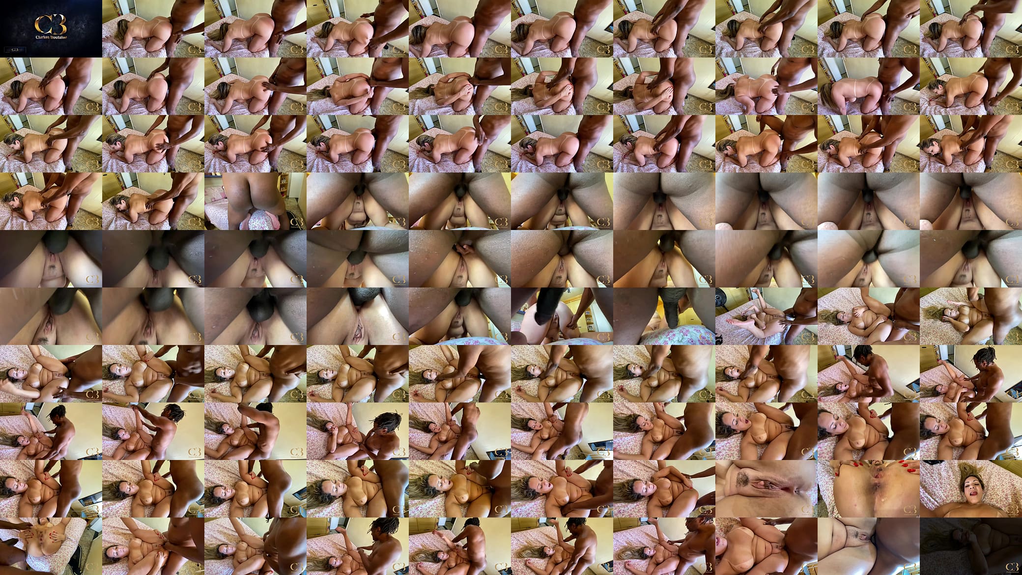 Anal Whore prefers to be sodomized in her Home 预览图