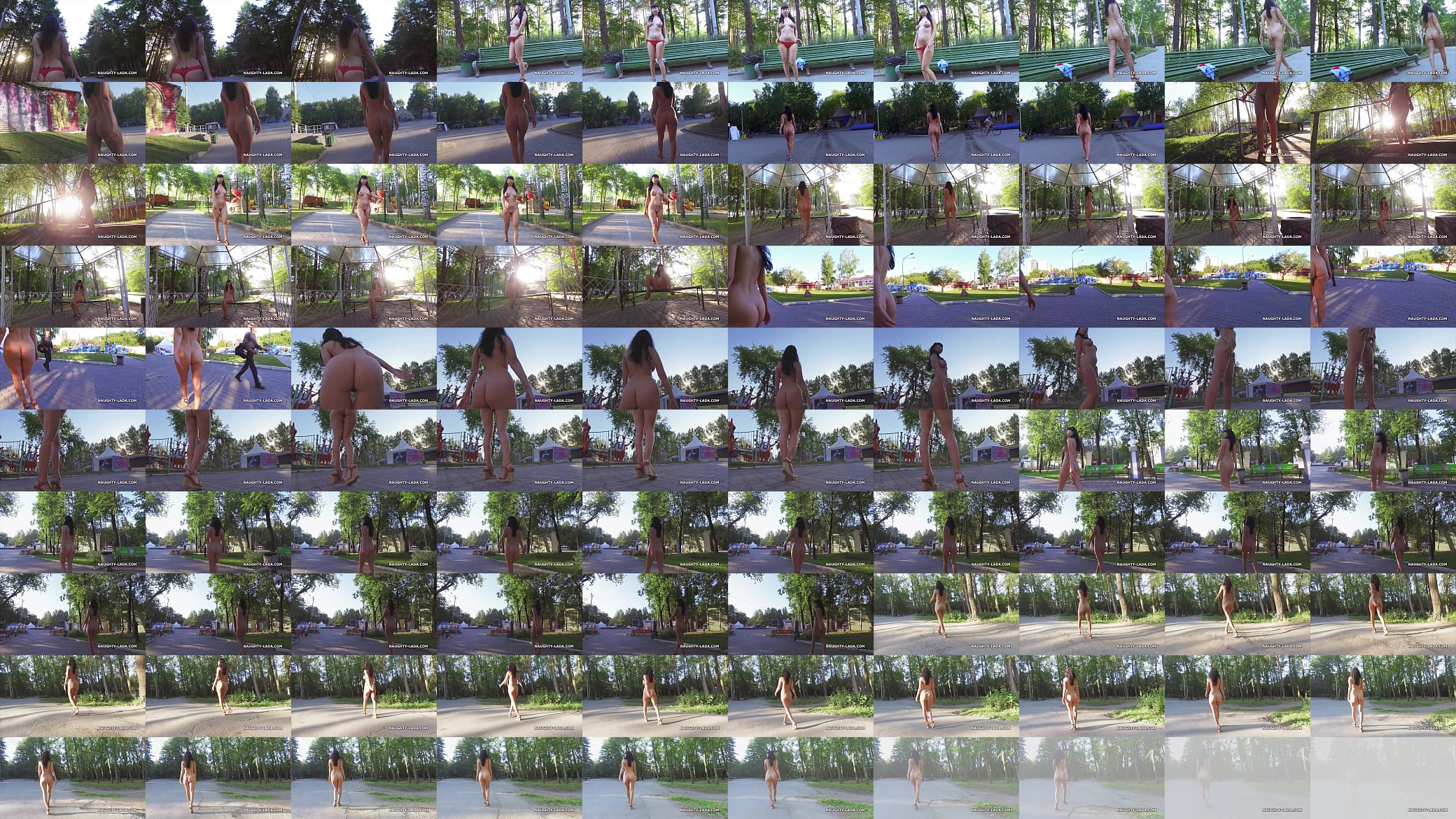 Nude in the park 预览图