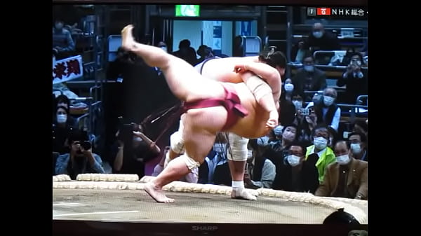Teru-yan, match-fixing today