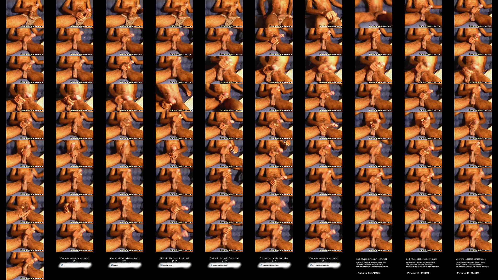 Hairy Guy Big Cock Masturbation 预览图