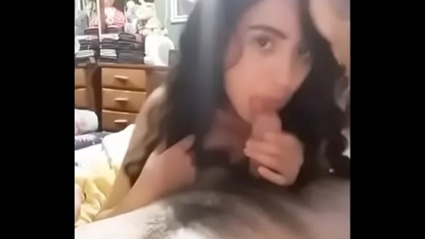 naughty kitten sucking the bilingual