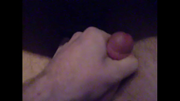 penis