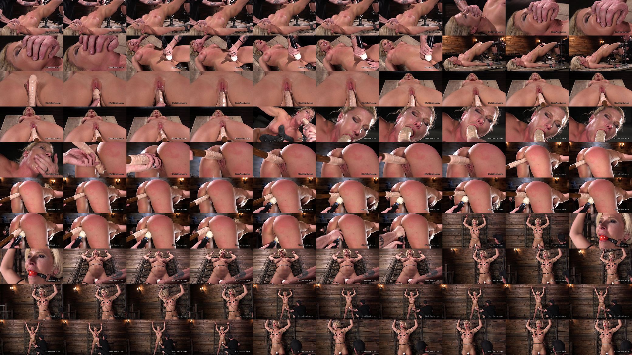 Big tits Milf slave gets toyed 预览图