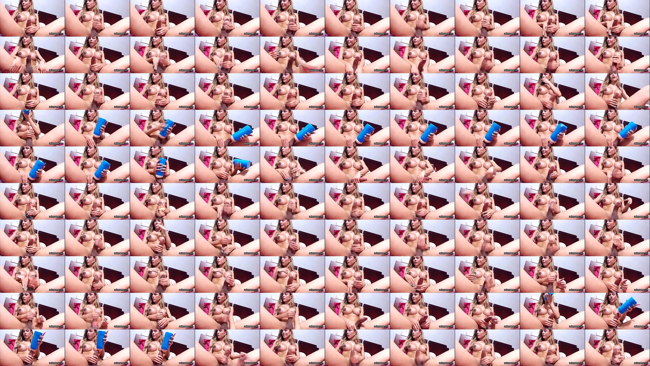 Romantic Masturbating Shemale Hooker 预览图