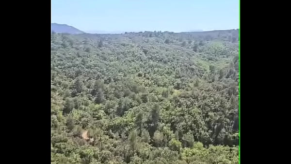 She drinks my piss outdoors on a hike