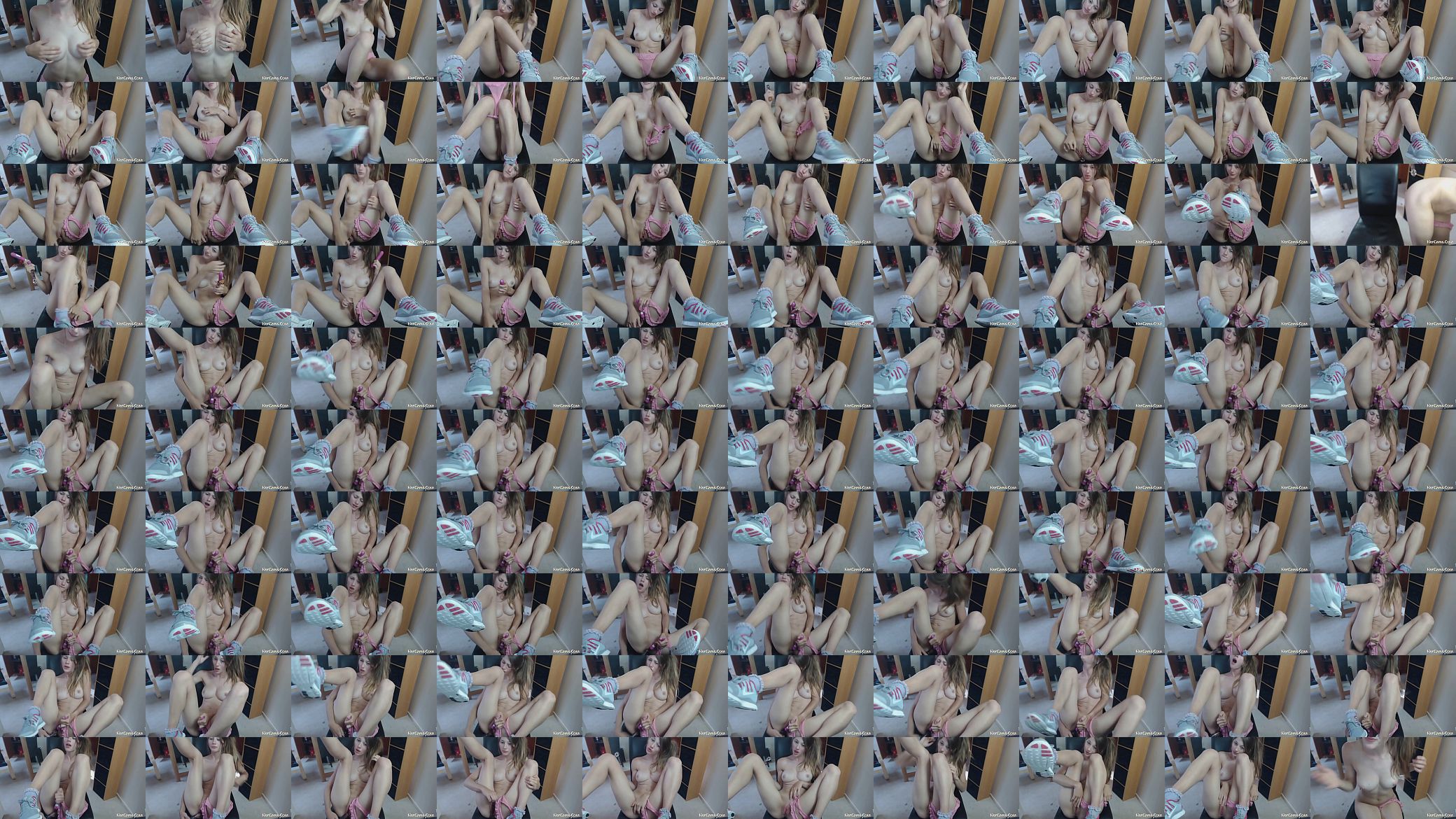 Alice WebCAM 预览图
