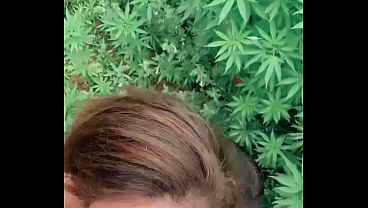 Download Video - Farm deepthroat blowjob &comma; mouth cum surprise pee outdoor
