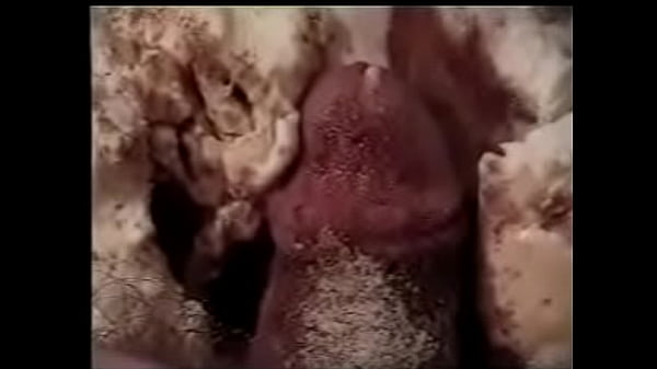 Cock Dessert a la mode