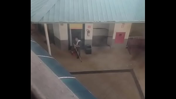 Limpador de vidro