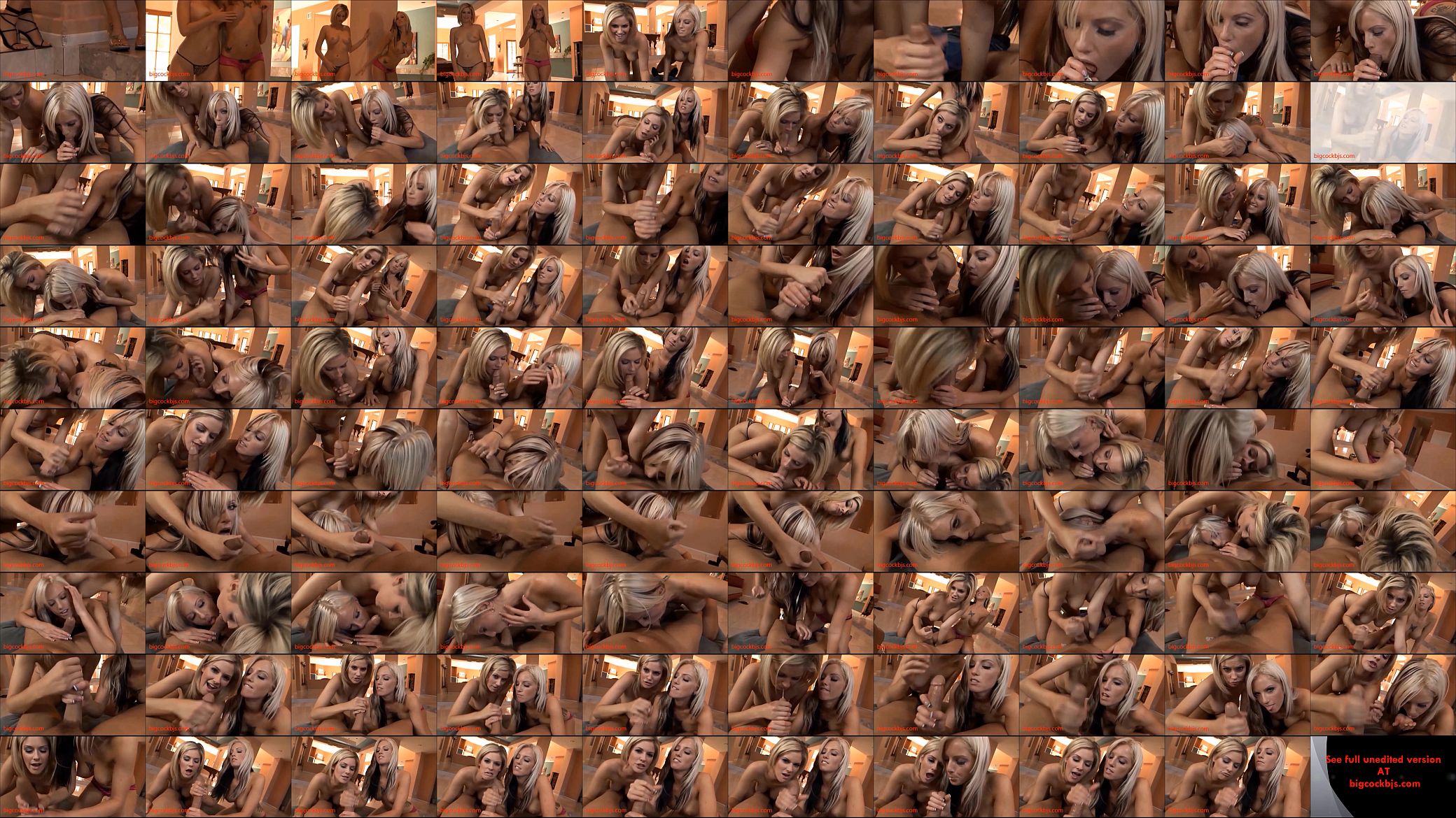 HD 2 big tits hot blond call girls suck my dick till cum shoots everywhere 预览图