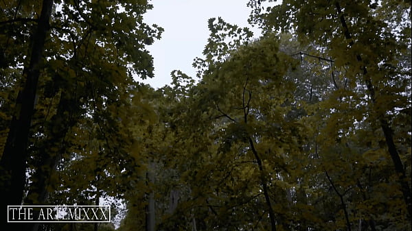 Lonely Ebony Sexy Teen Gets Fucked In Woods By Big Black Dick