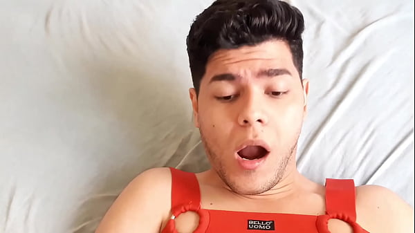 Cachorr&atilde;o fazendo novinho de cadela