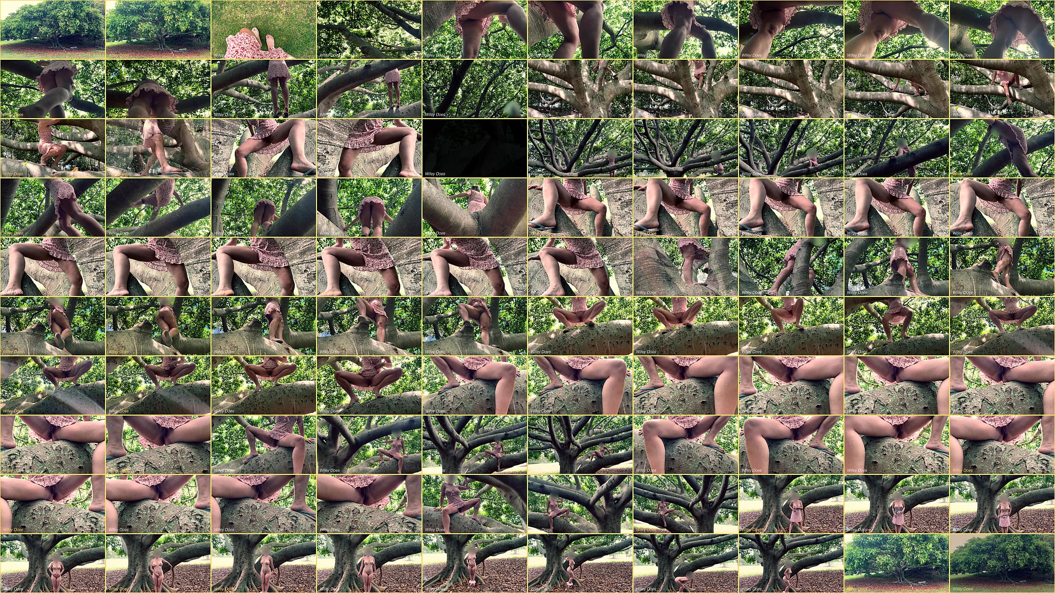 Wife climbs trees with no panties on 预览图