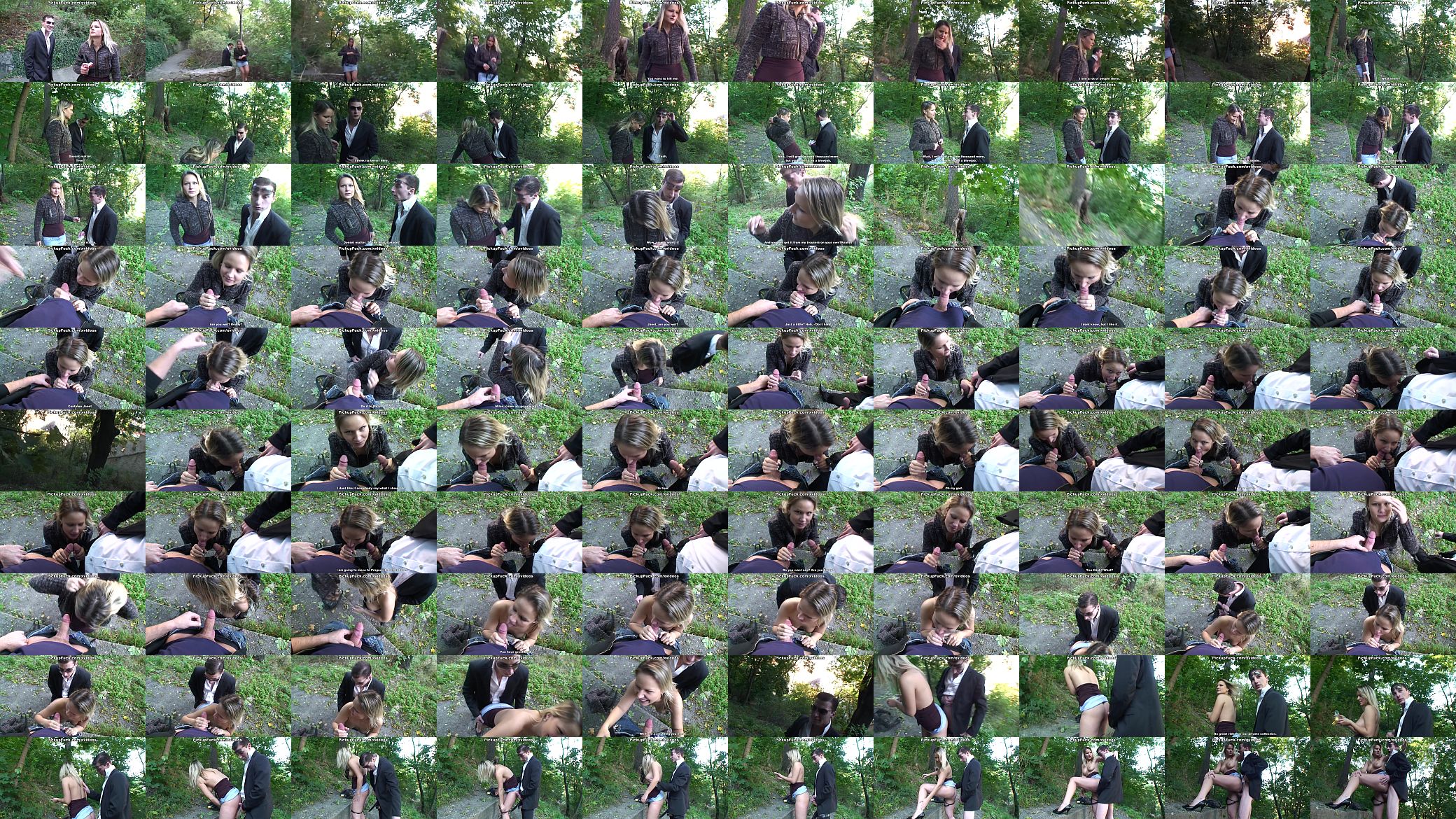Blonde babe does blowjob in the forest 预览图