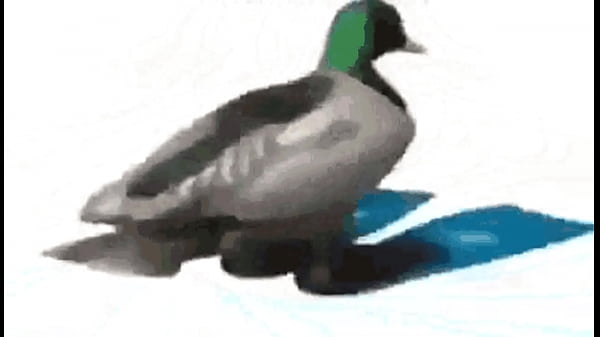 Diamantes TripleZeta SanCelestial asdfsafafsasaffsafffffff