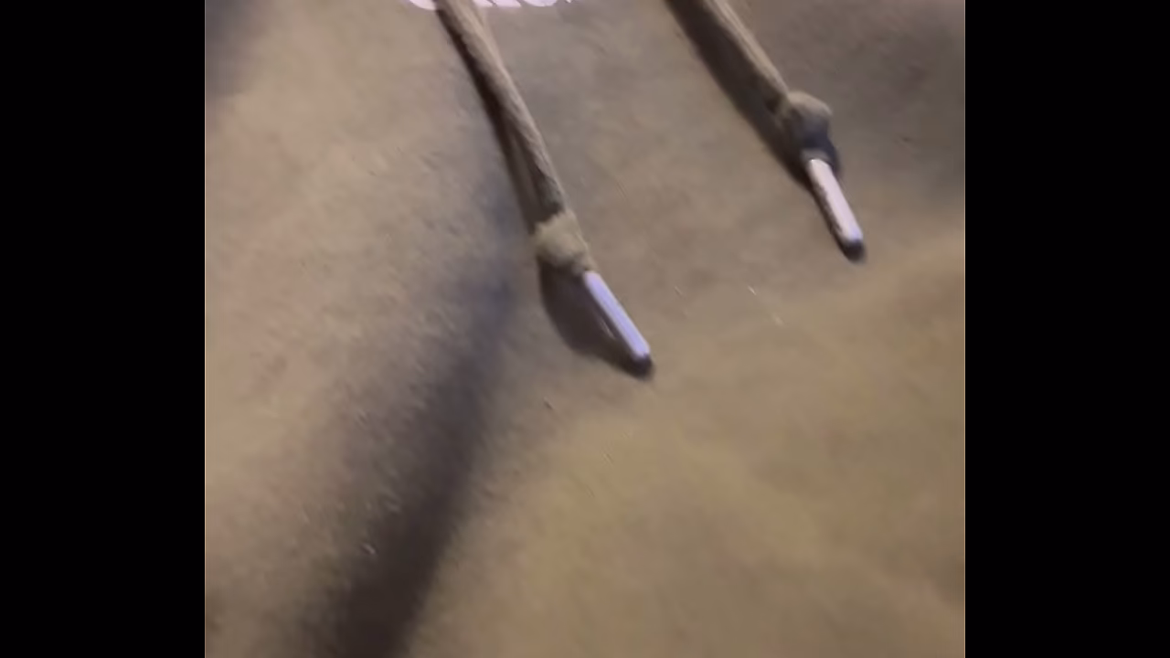 Video de v&eacute_rification