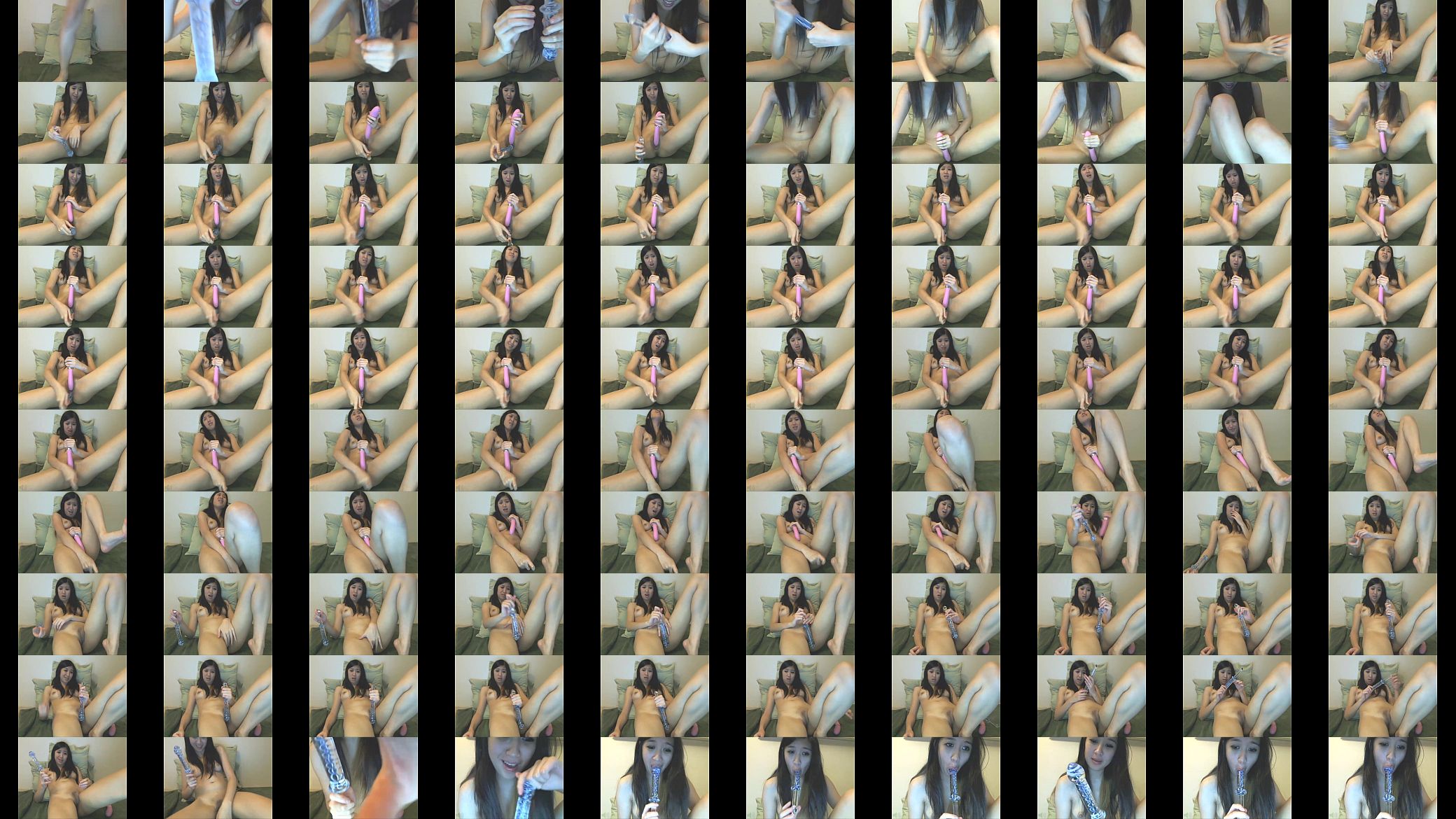Chinese Webcam 预览图