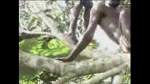 Tarzan