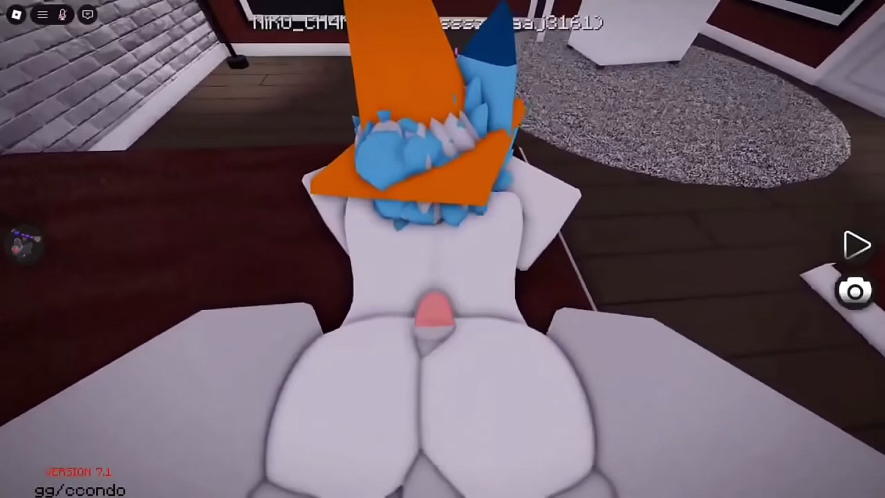 Two Furrys having fun :3