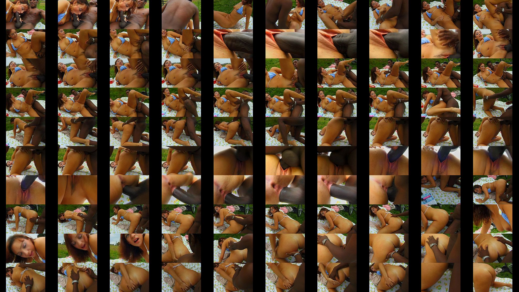 VCA - Big Omar Anal Holiday Harlots - scene 4 - extract 2 预览图