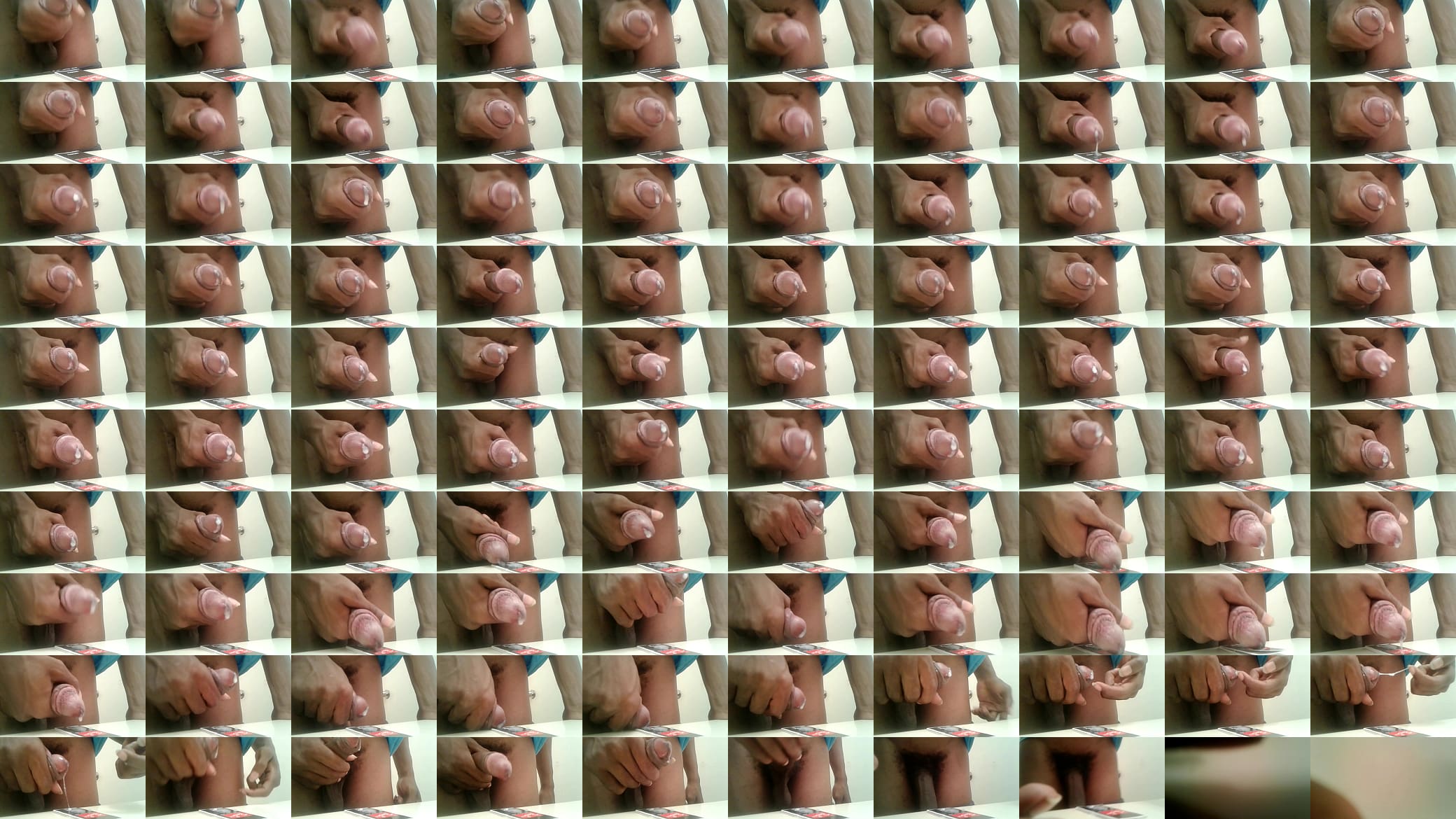 another day another nut 预览图