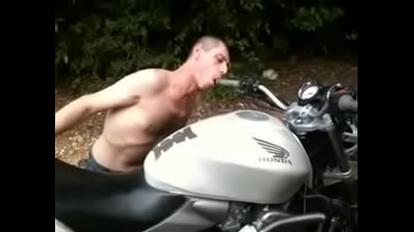 Licking motorbike saddles