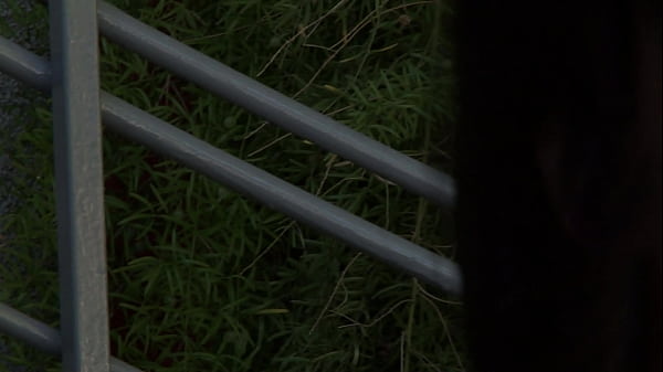 Daya Lane is a brunette babe with an awesome bubble butt begging to be greased by a big cumshot