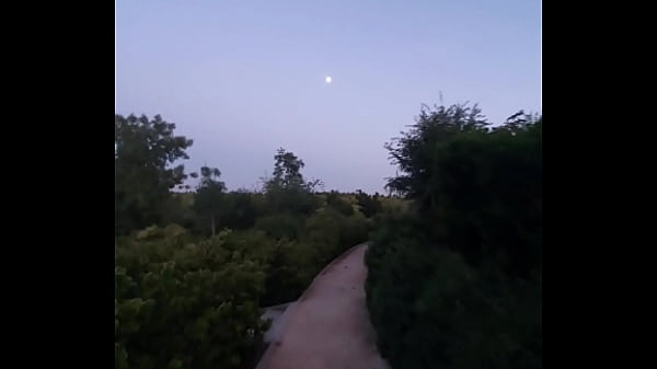 Je Baise Mon Ex Dans Un Parc Forestier