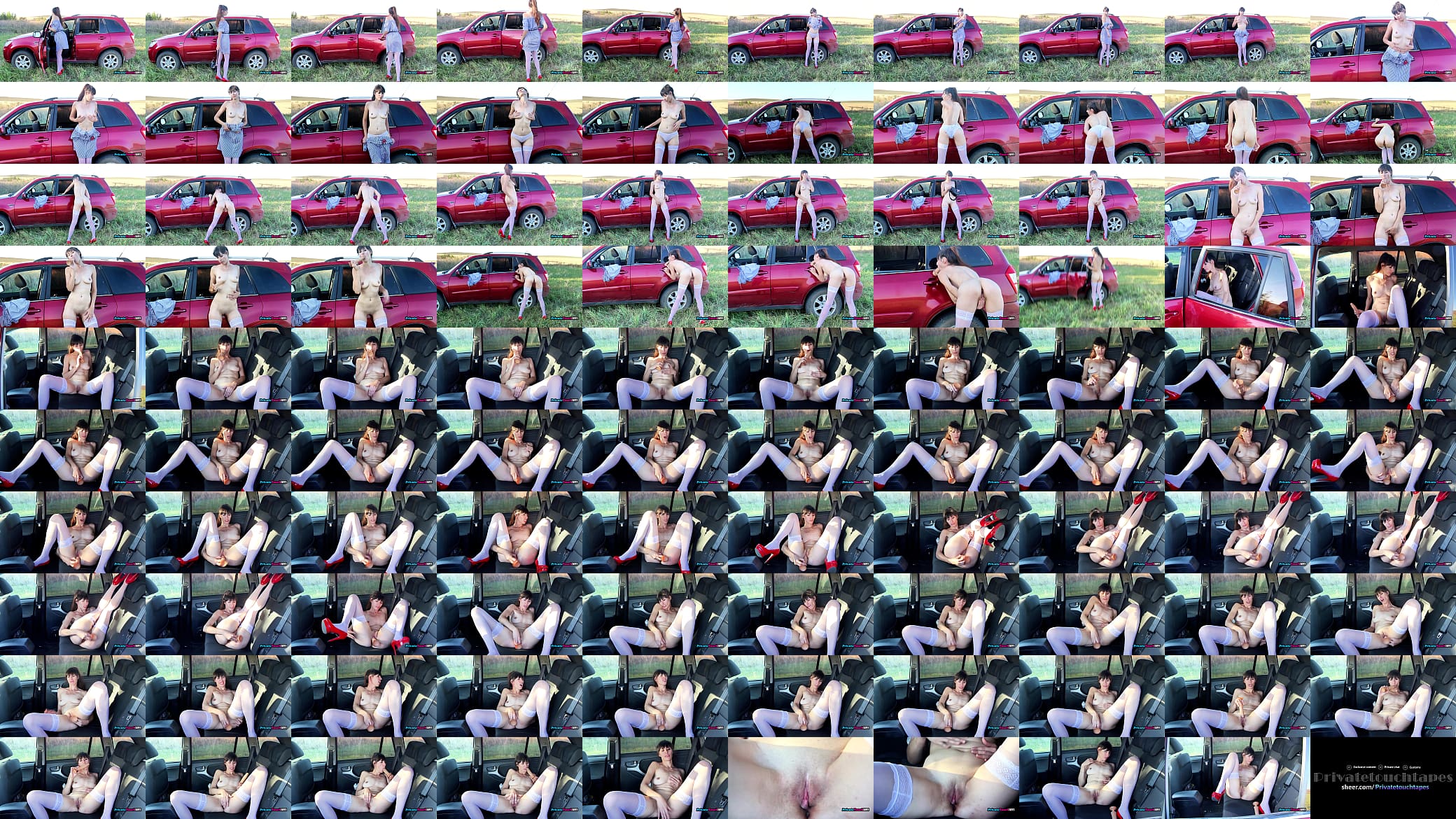 Sexy girl Russian masturbate with dildo and flash in her car on cam 预览图
