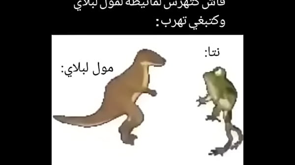frog and dinosaur