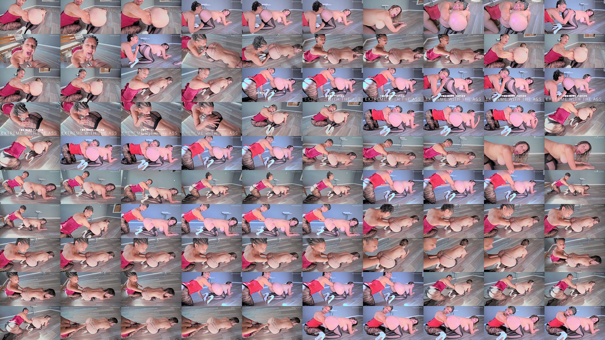 TWO MILFS FOR EXTEME ANAL ELBOW FISTING 预览图