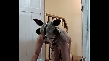 2026 09 10 Slave F the little trained dog