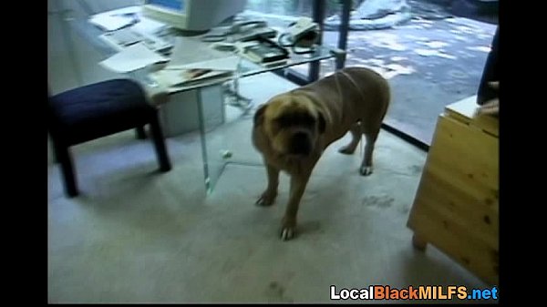 Download Video - Lucky Guy Fuck Horny White and Ebony Girls