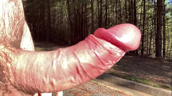 Clitlicker662 - update #35 - IMG 1372 - Apr 12,...