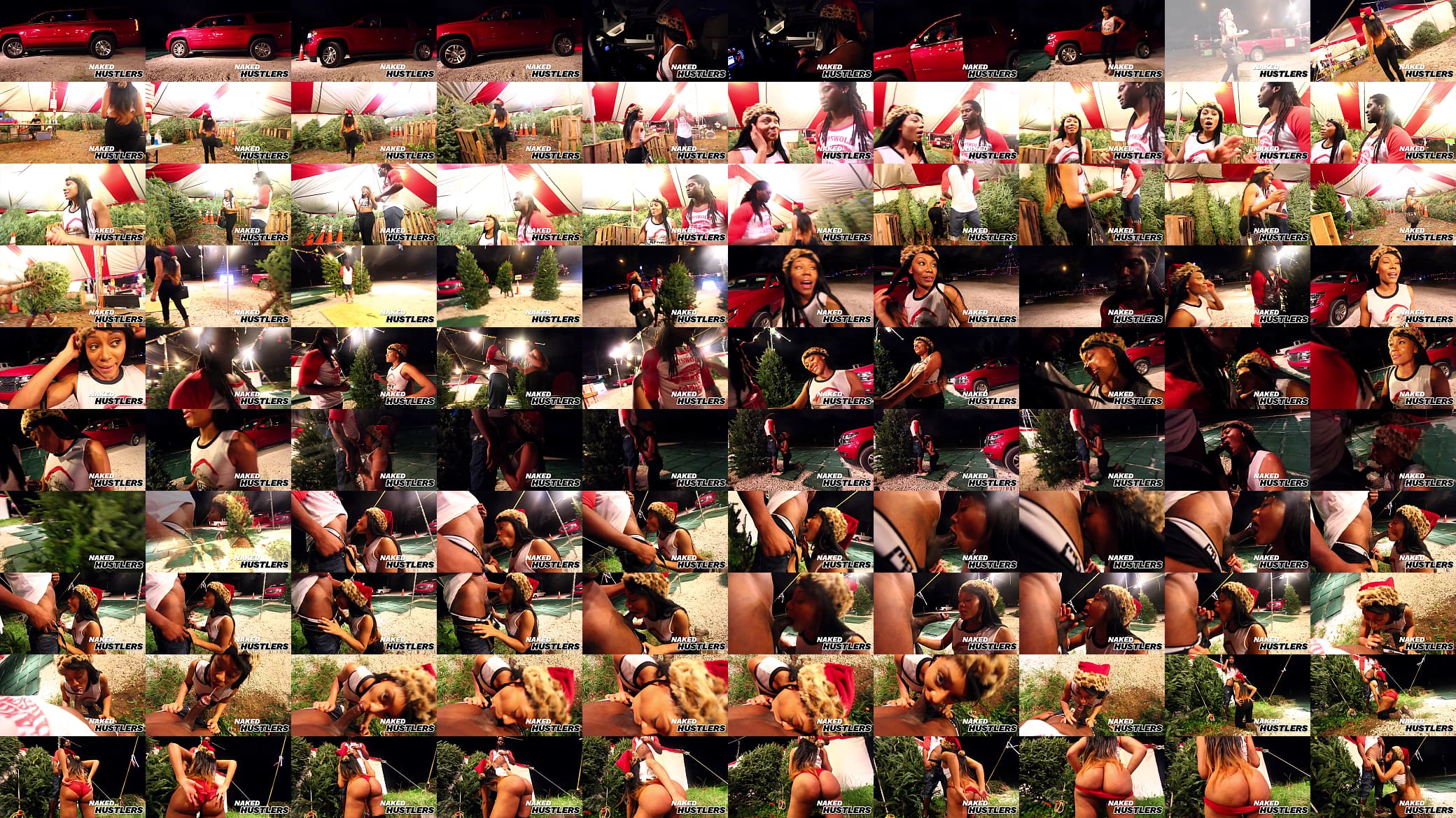 Jayla Foxx Fucks in Xmas Tree Lot 预览图