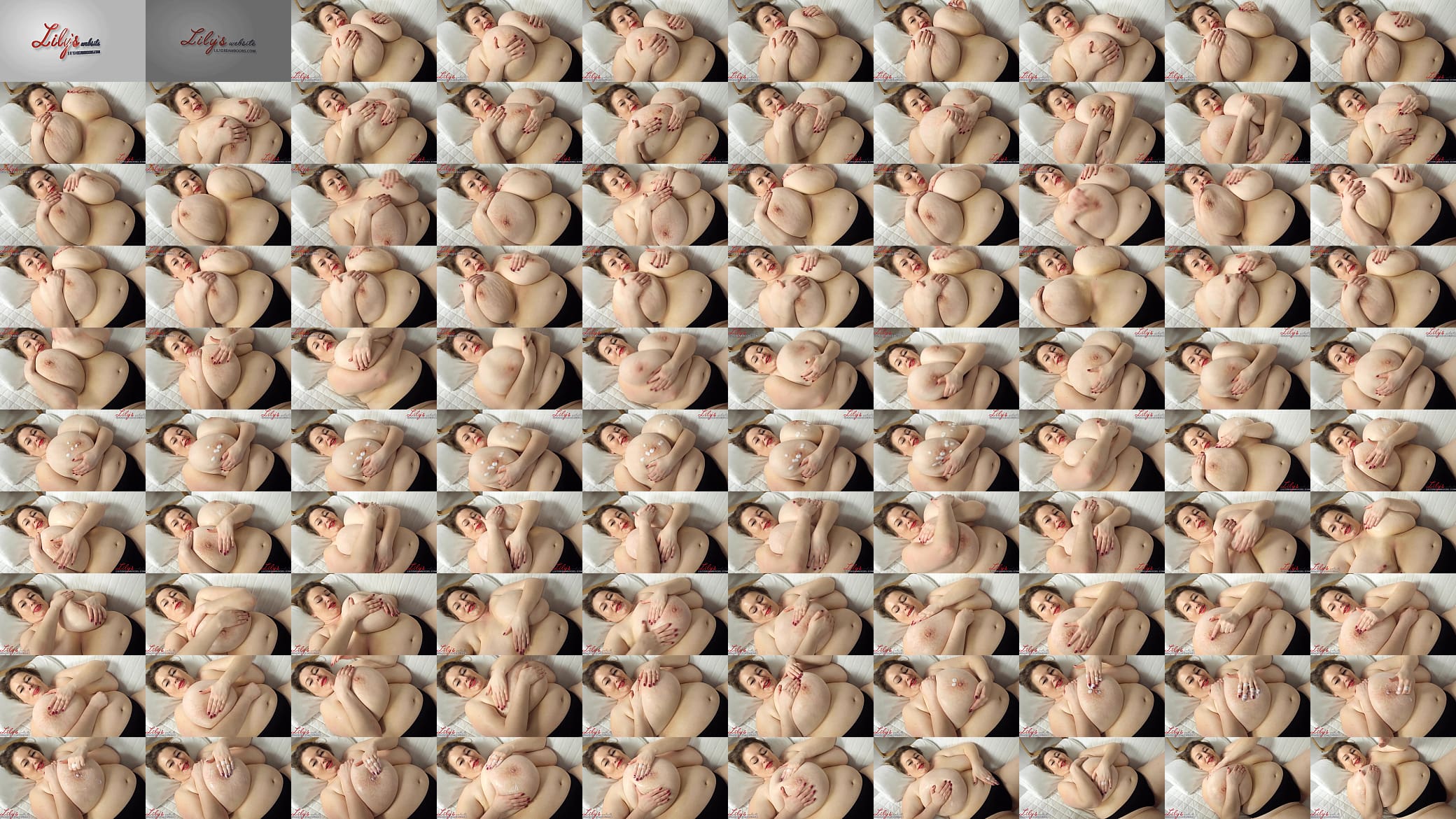 Lily solo 预览图