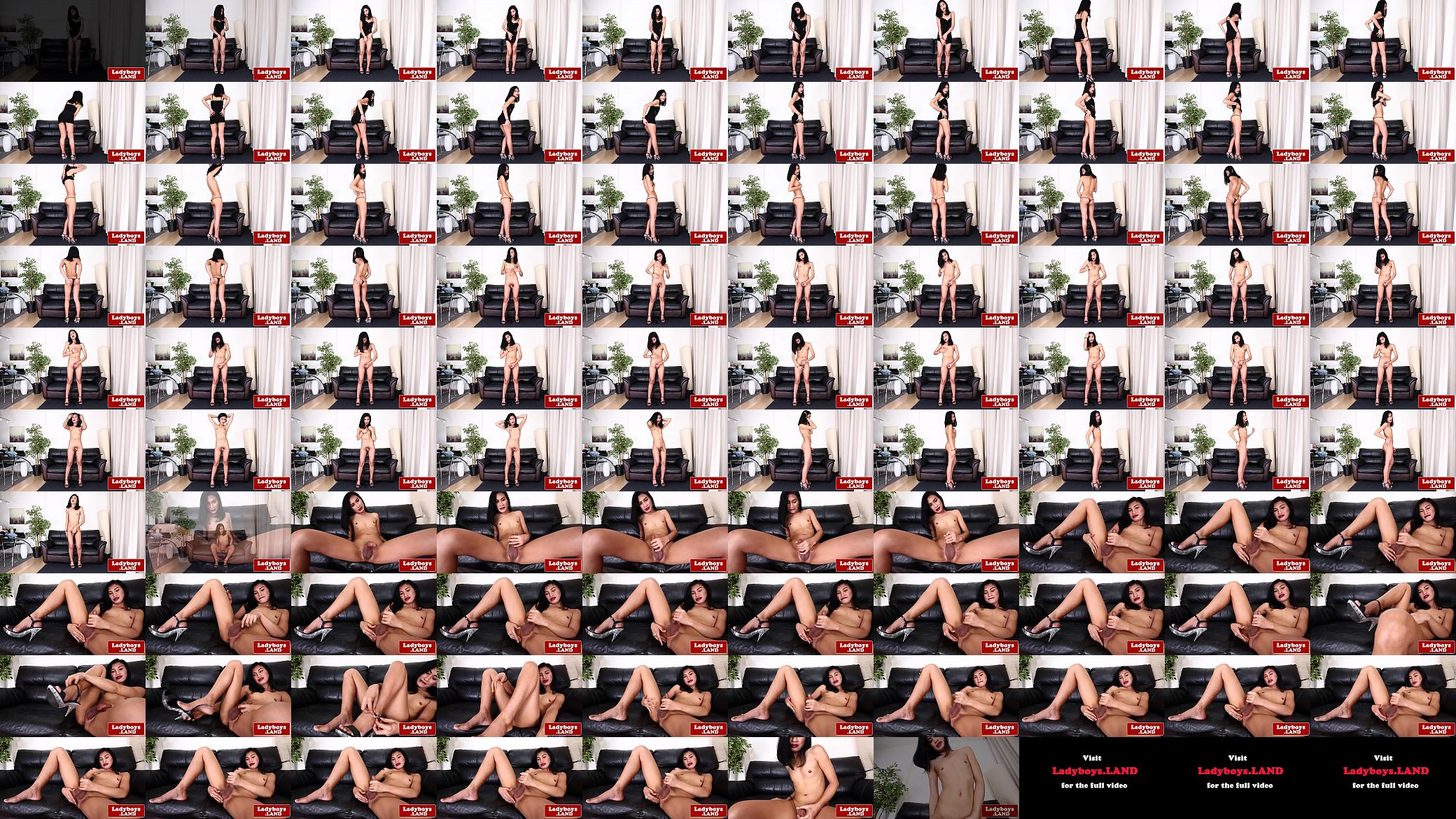 Smalltits ladyboy teases her asshole 预览图