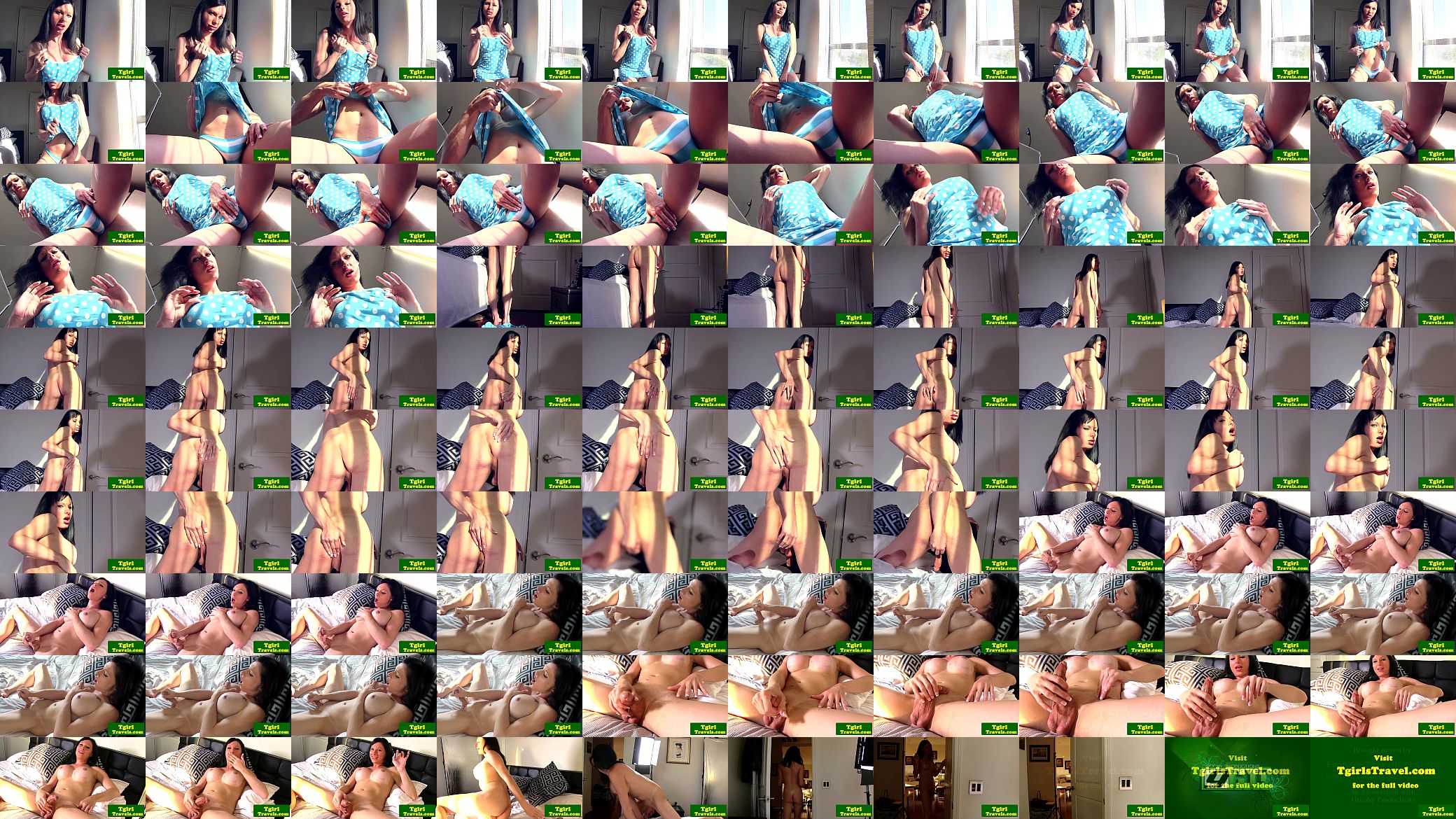 Kinky shemale solo satisfaction 预览图