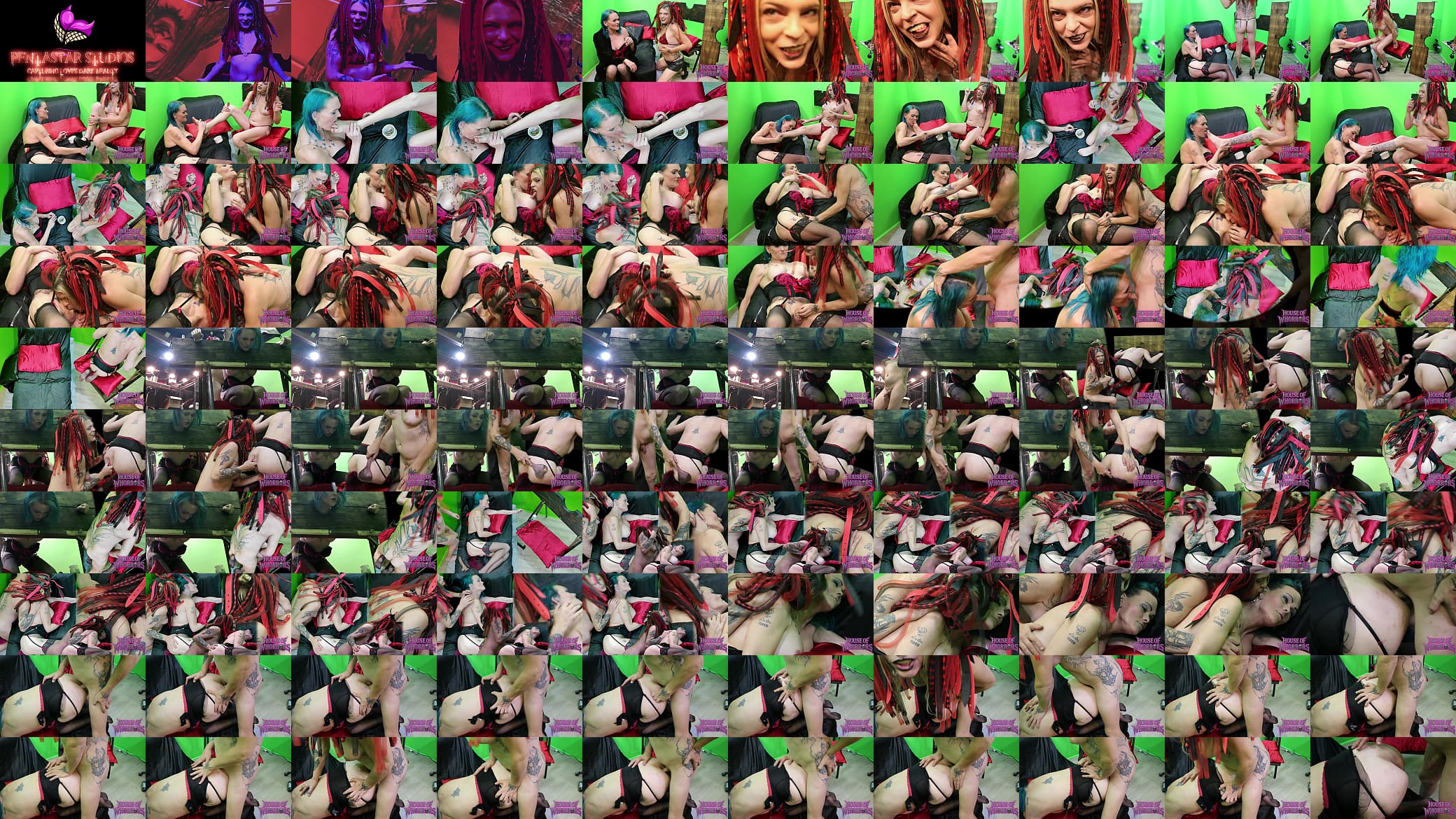 Stocks N&#039; Bonds - Preview - Goth Vampire Translesbian BDSM Kink 预览图