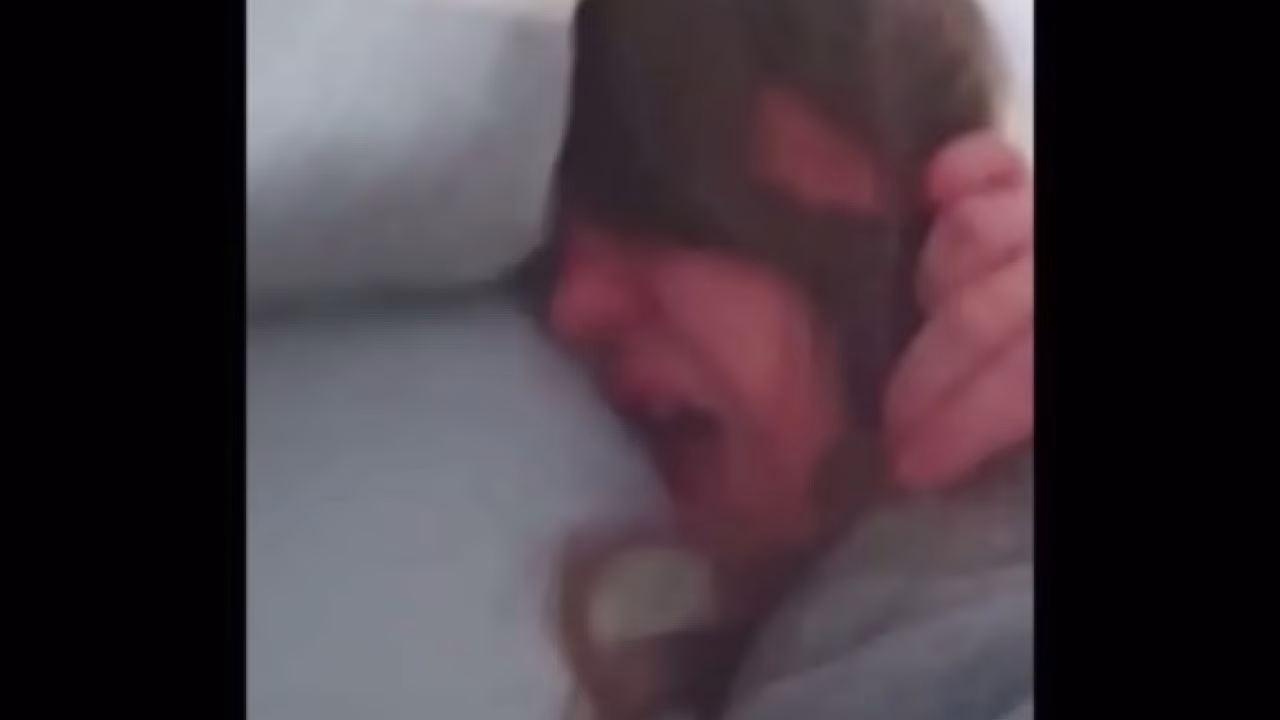 Wife Secretly Cheats on Husband &ndash_ Hot Homemade Video