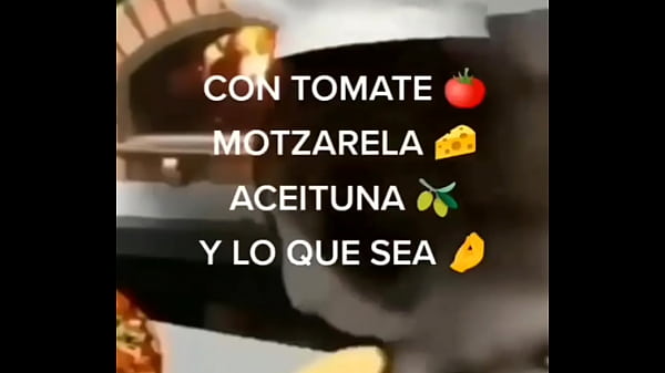 gato safado fazendo massagem em pizza gostosa