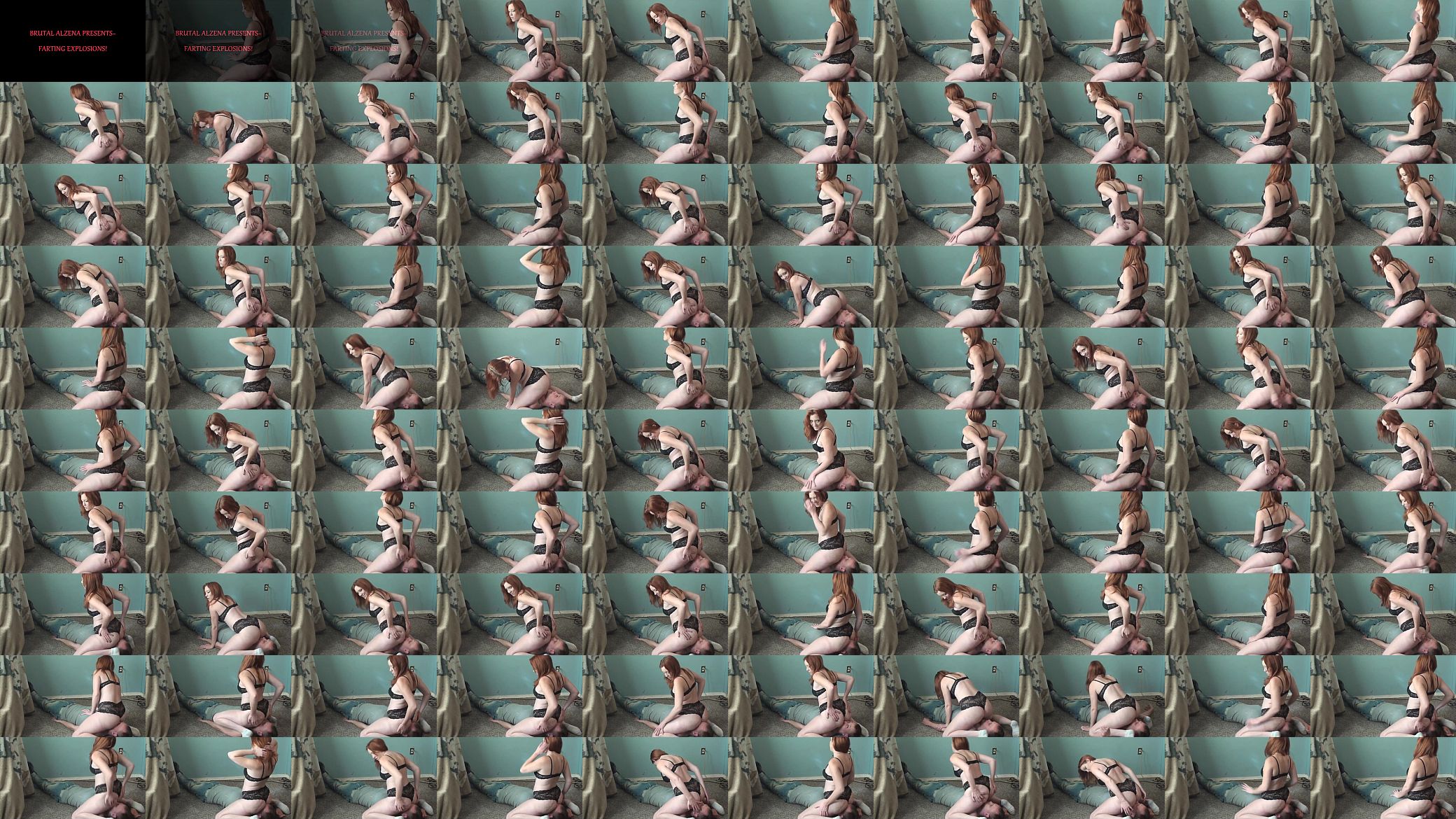Alzena facesitting farts in satins 预览图
